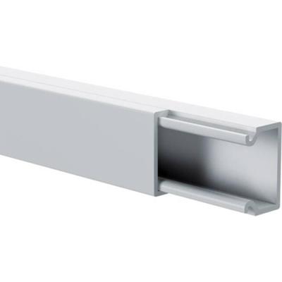 GGK 4190 Kabelgoot (l x b x h) 2000 x 10 x 15 mm Zuiver wit 1 stuk(s) GGK 4190 Kabelgoot (l x b x h) 2000 x 10 x 15 mm Zuiver wit 1 stuk(s)