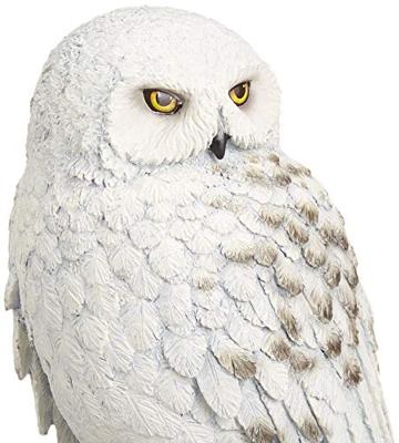 Noble Collection Harry Potter - Hedwig 9.5 inch Resin Sculpture decoratie