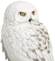 Noble Collection Harry Potter - Hedwig 9.5 inch Resin Sculpture decoratie - thumbnail