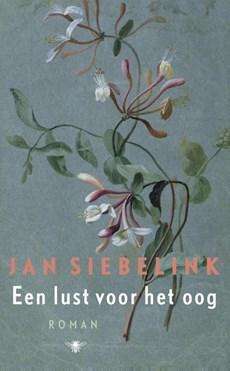 Een lust voor het oog - Jan Siebelink - ebook