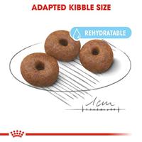 Royal Canin Giant Starter Mother and Babydog hondenvoer 15 kg - thumbnail