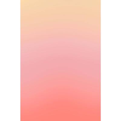 Bresser Achtergronddoek van 100% Katoen - 80x120cm - Coral Gradiënt