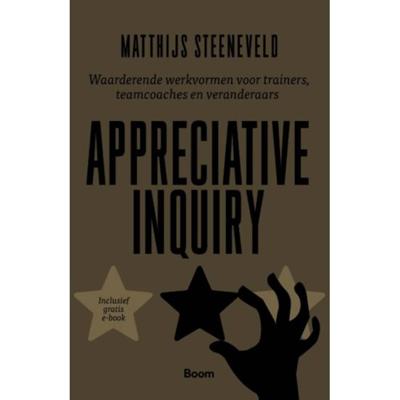Appreciative Inquiry (Paperback)