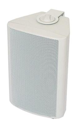 Visaton WB 10 - 100 V/8 Ohm Wandluidspreker 40 W Wit 1 stuk(s)