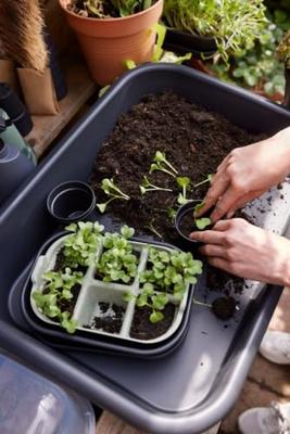 Elho Zaaitray green basics 22cm steengroen - thumbnail