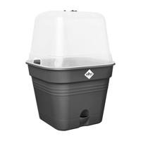 Elho green basics growpot square all-in-1 living black 20 - thumbnail