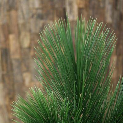 Pinus kunsttak 65cm UV bestendig