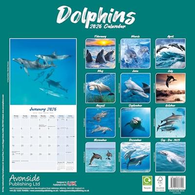 Dolfijnen Kalender 2026
