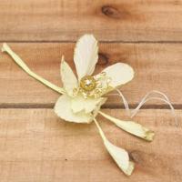 Bonbon doosjes - Chocolade doosje - Kerstanemoon - 24 stuks - thumbnail