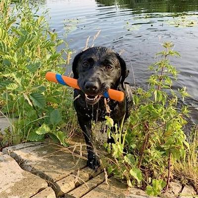 CHUCKIT ULTRA FETCH STICK - thumbnail