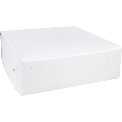 Zwanenhals/ verzenddoos | karton | 30x30x9cm | duplex | wit | 50 stuks