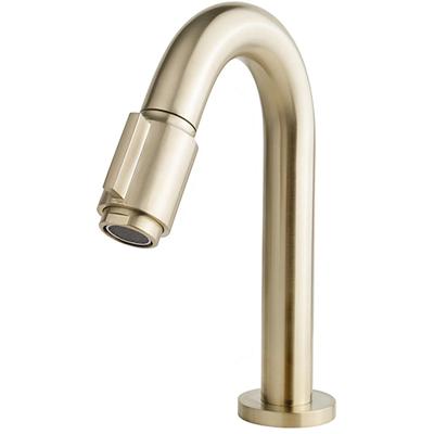 Wiesbaden Victoria Fonteinkraan - Toiletkraan - Koudwaterkraan - 1/2 - Geborsteld Messing