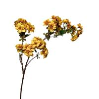 Roberts Collection Kunstbloem bloesem tak 80cm okergeel - thumbnail