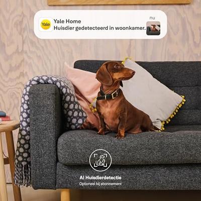 Slimme binnencamera - YALE - 1080p - Nachtzicht