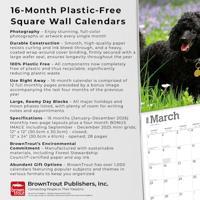 Poedel Kalender 2026 - thumbnail