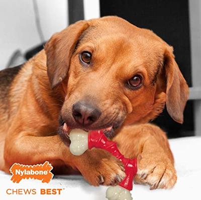 NYLABONE EXTREME CHEW VOOR HARDE BIJTERS BACONSMAAK TOT 16 KG 14X9,5X2 CM - thumbnail