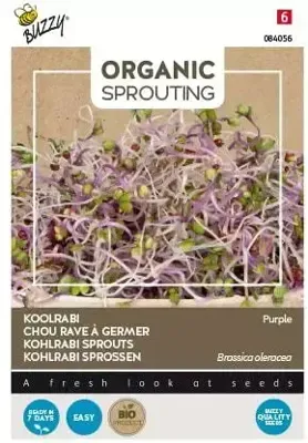 Bio Knip & Eet, Sprouting Koolrabi blauw