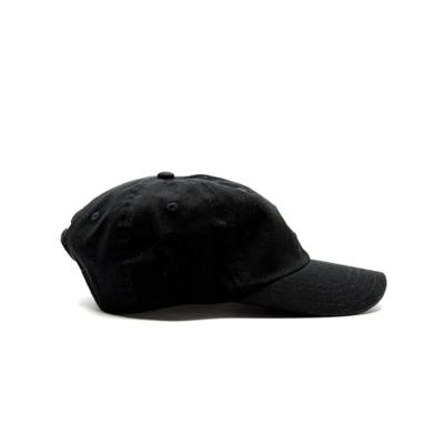 Sportcap Dickies Hardwick Zwart (Één maat)