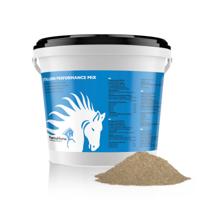 PharmaHorse Energie Booster 1000 - thumbnail