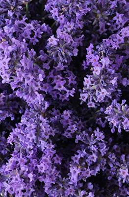 Khadi Lavender neroli zeep 100 Gram