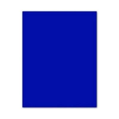 Fiches Iris Marineblauw 50 x 65 cm Fiches Iris Marineblauw 50 x 65 cm