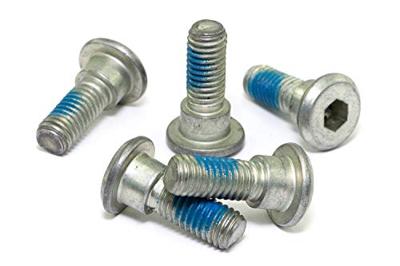 TRW bouten set screw set 5pcs. m8x1,25