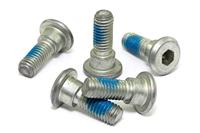 TRW bouten set screw set 5pcs. m8x1,25 - thumbnail