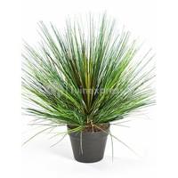 Kunstplant Grass onion L - thumbnail