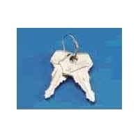 Rittal SZ 2532.000 Veiligheidssluiting Staal 2 stuk(s) - thumbnail