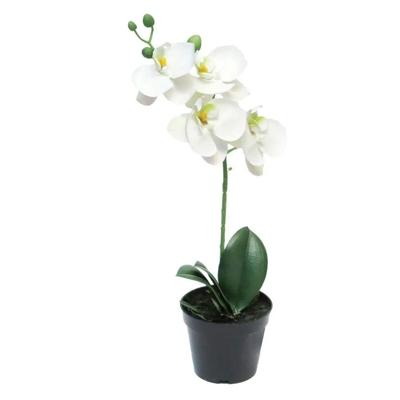 Phalaenopsis bora in pot white 35 cm kunstplant Buitengewoon de Boet - Buitengewoon de boet Phalaenopsis bora in pot white 35 cm kunstplant Buitengewoon de Boet - Buitengewoon de boet