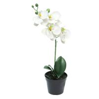 Phalaenopsis bora in pot white 35 cm kunstplant Buitengewoon de Boet - Buitengewoon de boet - thumbnail