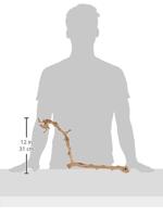 EXO TERRA Decoratie Geschuurde wijnstok - Groot model - Voor terrarium - thumbnail