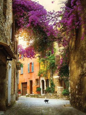 Bougainville poes 50x70cm Tuinschilderij Customize-it - Customize it