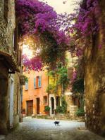 Bougainville poes 50x70cm Tuinschilderij Customize-it - Customize it - thumbnail