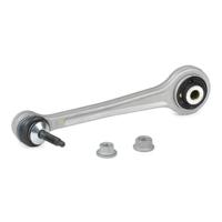 Lei Groene beuk - thumbnail