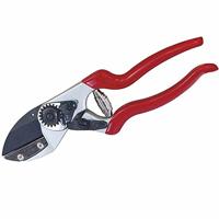 Siena Garden CG1090 Grasschaar 21 cm Amboss - thumbnail