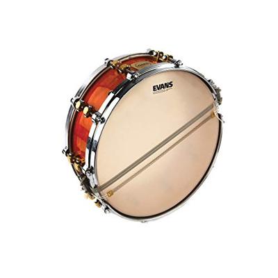Evans S14GEN30 Orchestral 300 Clear 14 inch snaredrumvel