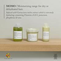 Davines Essential Haircare Momo Hair Potion Leave-in 150ml - thumbnail