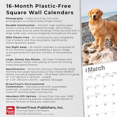 Golden Retriever Kalender 2026