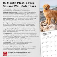 Golden Retriever Kalender 2026 - thumbnail