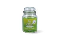 Kaars Magic Lights 8030650530505 Citronella 510 ml - thumbnail