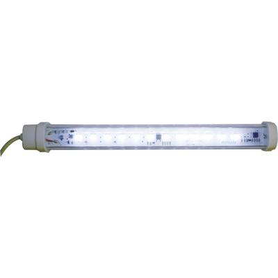 Patlite CWA9S-24-CD LED-lamp (armatuur) 24 V/DC 1 stuk(s)