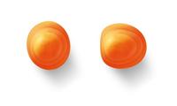 Howard Leight 1011239 SMARTFIT Oordoppen Eenmalig gebruik 50 paar - thumbnail