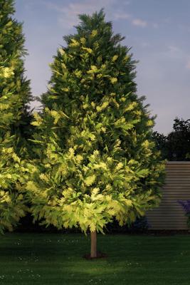 Paulmann Plug & Shine buitenlamp grondinbouwspot 6 Watt 38° warm wit licht Paulmann Plug & Shine buitenlamp grondinbouwspot 6 Watt 38° warm wit licht