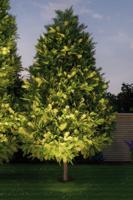 Paulmann Plug & Shine buitenlamp grondinbouwspot 6 Watt 38° warm wit licht - thumbnail