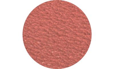 PFERD TOOLS CDR 50 A-COOL 80 42772508 Schuurblad Korrelgrootte (num) 80 (Ø) 50 mm 100 stuk(s)