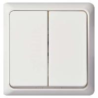 ELSO UP-serieschakelaar 241504 10A RENOVATIE compleet rw 1 stuk(s)