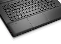 iPhone 12 Pro Max Case Anti-shock Birds - thumbnail