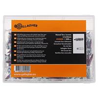 Gallagher Gallagher schroeven 4,5x40 T25 (200) - 050000 050000 - thumbnail