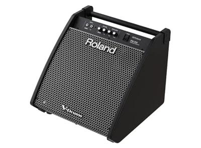 Roland PM-200